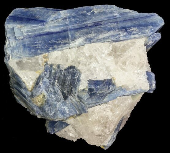 Vibrant Blue Kyanite Crystal In Quartz - Brazil #56926